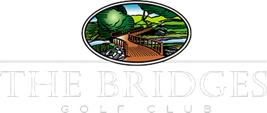 The Bridges Logo