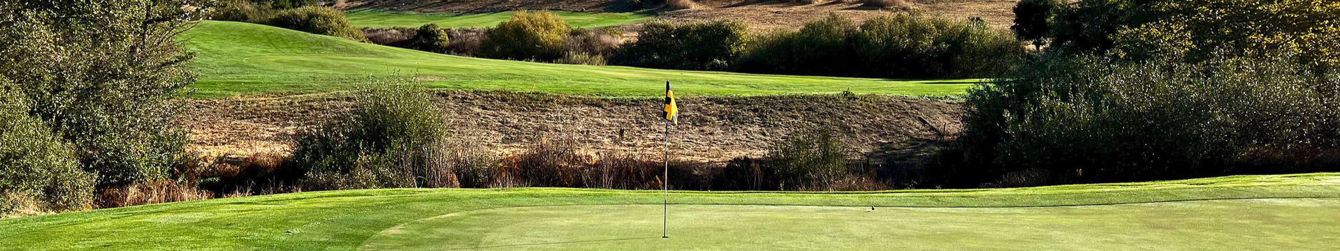 Image of golf ball on tee on grass.